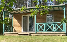 DOMAINE des GRANDS PINS